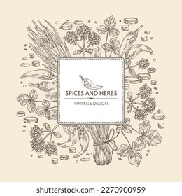 Background with herbs and spices: leaves and flowers of origanum vulgare, shallot, cayenne pepper and cryptotaenia japonica. Vector hand drawn illustration.