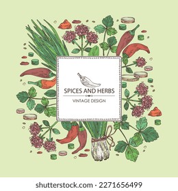 Background with herbs and spices: leaves and flowers of origanum vulgare, shallot, cayenne pepper and cryptotaenia japonica. Vector hand drawn illustration.