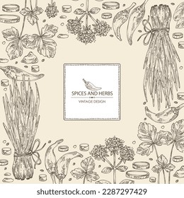 Background with herbs and spices: leaves and flowers of origanum vulgare, shallot, cayenne pepper and cryptotaenia japonica. Vector hand drawn illustration.