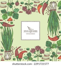 Background with herbs and spices: leaves and flowers of origanum vulgare, shallot, cayenne pepper and cryptotaenia japonica. Vector hand drawn illustration.