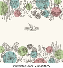 Background with herbs and spices: leaves and flowers of origanum vulgare, shallot, cayenne pepper and cryptotaenia japonica. Vector hand drawn illustration.