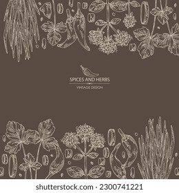 Background with herbs and spices: leaves and flowers of origanum vulgare, shallot, cayenne pepper and cryptotaenia japonica. Vector hand drawn illustration.