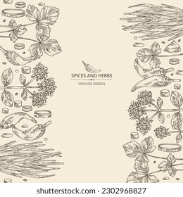 Background with herbs and spices: leaves and flowers of origanum vulgare, shallot, cayenne pepper and cryptotaenia japonica. Vector hand drawn illustration.