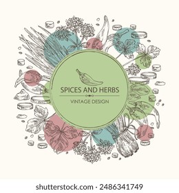 Background with herbs and spices: leaves and flowers of origanum vulgare, shallot, cayenne pepper and cryptotaenia japonica. Vector hand drawn illustration.