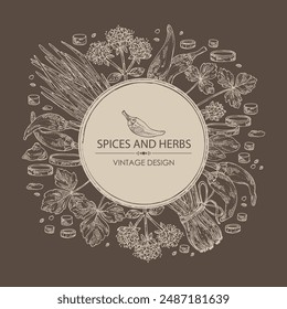 Background with herbs and spices: leaves and flowers of origanum vulgare, shallot, cayenne pepper and cryptotaenia japonica. Vector hand drawn illustration.