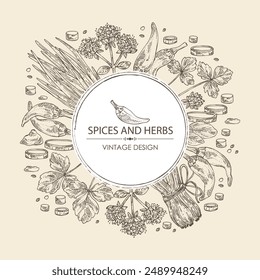 Background with herbs and spices: leaves and flowers of origanum vulgare, shallot, cayenne pepper and cryptotaenia japonica. Vector hand drawn illustration.