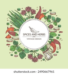 Background with herbs and spices: leaves and flowers of origanum vulgare, shallot, cayenne pepper and cryptotaenia japonica. Vector hand drawn illustration.