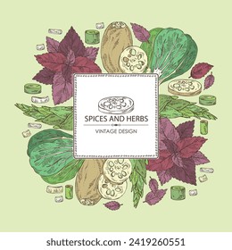 Background with herbs and spices: perilla, bamboo shoots,  lotus root and bok choy. Vector hand drawn illustration.
