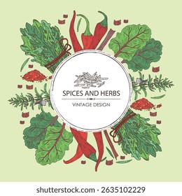 Background with herbs and spices: rosemary, chard, arugula, chilli pepper. Vector hand drawn illustration.