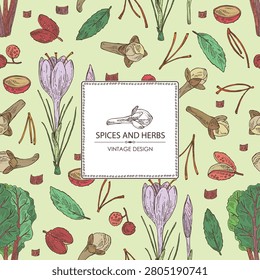 Background with herbs and spices: saffron, clove tree, sichuan pepper, chard. Vector hand drawn illustration.