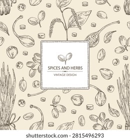 Background with herbs and spices: shallot, barberry, caper, black pepper. Vector hand drawn illustration.