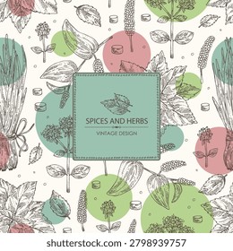 Background with herbs and spices: shallots, perilla, origanum vulgare, long pepper. Vector hand drawn illustration.