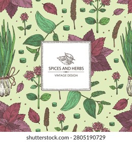 Background with herbs and spices: shallots, perilla, origanum vulgare, long pepper. Vector hand drawn illustration.