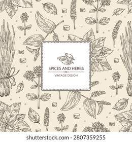Background with herbs and spices: shallots, perilla, origanum vulgare, long pepper. Vector hand drawn illustration.