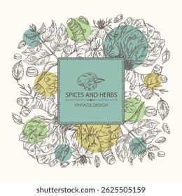 Fundo com ervas aromáticas e especiarias: raiz cúrcuma, nigella sativa, espinafre, perila. Ilustração desenhada à mão vetorial.