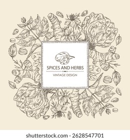 Fondo con hierbas y especias: raíz de cúrcuma, nigella sativa, espinacas, perilla. Vector dibujado a mano ilustración.