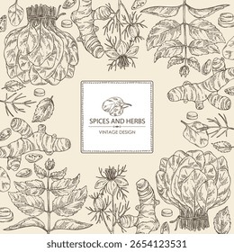 Background with herbs and spices: turmeric root, nigella sativa, spinach, perilla. Vector hand drawn illustration.