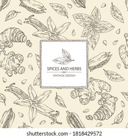 Background with herbs and spices: vanilla flower and pod, ginger root. sesame and mit leaves. Vector hand drawn illustration