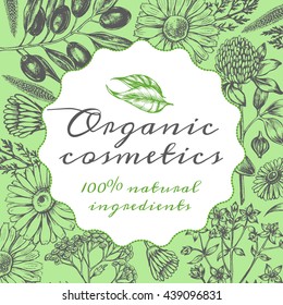 Background with herbs. Template for design of organic cosmetics. Vector illustration.