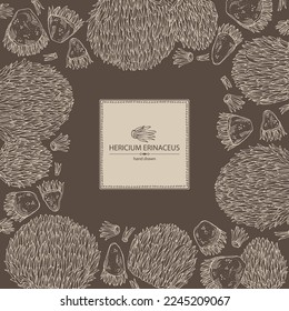 Background with hericium erinaceus: piece of lion's mane mushroom, hericium erinaceus mushrooms. Vector hand drawn mushroom illustrations