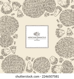 Background with hericium erinaceus: piece of lion's mane mushroom, hericium erinaceus mushrooms. Vector hand drawn mushroom illustrations