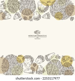 Background with hericium erinaceus: piece of lion's mane mushroom, hericium erinaceus mushrooms. Vector hand drawn mushroom illustrations