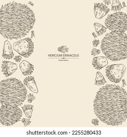 Background with hericium erinaceus: piece of lion's mane mushroom, hericium erinaceus mushrooms. Vector hand drawn mushroom illustrations