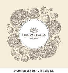 Fondo con hericium erinaceus: pedazo del hongo de la melena del león, hongos de hericium erinaceus. Vector dibujado a mano ilustraciones de hongos