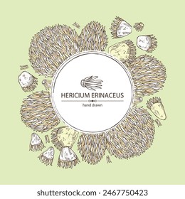 Fondo con hericium erinaceus: pedazo del hongo de la melena del león, hongos de hericium erinaceus. Vector dibujado a mano ilustraciones de hongos