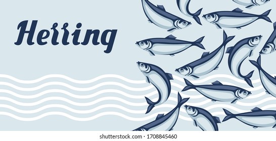 Background with herring fish. Pacific sardine. Seafood illustration.