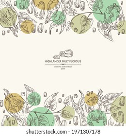 Background with highlander multiflorous: fo ti plant and fo ti root. Polygonum Multiflorum. Cosmetic and medical plant. Vector hand drawn illustration