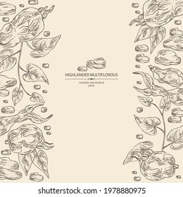 Background with highlander multiflorous: fo ti plant and fo ti root. Polygonum Multiflorum. Cosmetic and medical plant. Vector hand drawn illustration