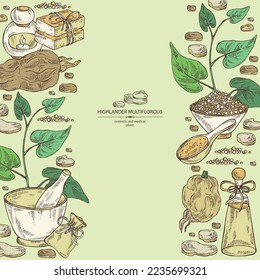 Background with highlander multiflorous: fo ti plant and fo ti root. Polygonum Multiflorum. Oil, soap and bath salt . Cosmetics and medical plant. Vector hand drawn illustration