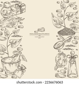 Background with highlander multiflorous: fo ti plant and fo ti root. Polygonum Multiflorum. Oil, soap and bath salt . Cosmetics and medical plant. Vector hand drawn illustration