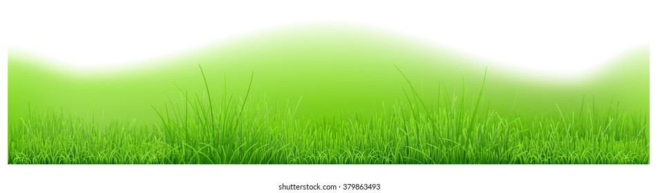 Background with hills and green grass. Vector illustration
