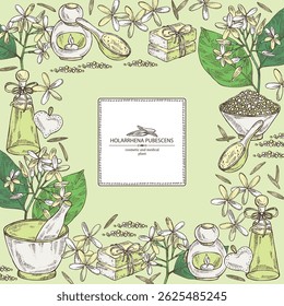 Background holarrhena pubescens: holarrhena pubescens plant, leaves and holarrhena pubescens flowers. Oil, soap and bath salt. Cosmetics and medical plant. Vector