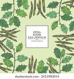Background with holly broadleaf: plant, kudin leaves and holly broadleaf dry leaves. Kudin tea. Vector hand drawn illustration.