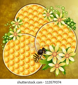 Background with honeycomb and bee