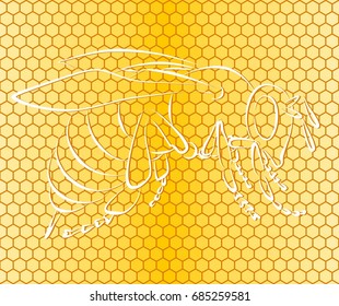 Background with honeycombs and bee. 