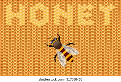 Background with honeycombs and bee. Vector illustration.