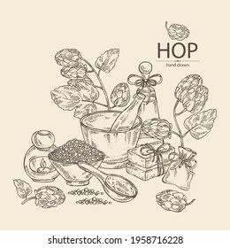 Background with hops: plant and cone of hops and bath salt, soap and beauty products. Cosmetic, perfumery and medical plant. Vector hand drawn illustration.