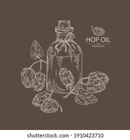 Fondo con lúpulo: planta y cono de lúpulo y botella de lúpulo de aceite esencial. Cosmética, perfumería y planta médica. Ilustración dibujada a mano por vectores.