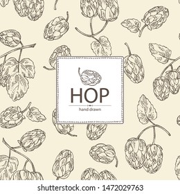 Background with hops: plant and cone of hops. Cosmetic and medical plant. Vector hand drawn illustration