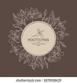 Background with houttuynia: houttuynia flowers and leaves. Houttuynia cordata, Cosmetic and medical plant. Vector hand drawn illustration