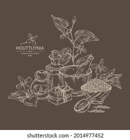 Background with houttuynia: houttuynia flowers and leaves. Houttuynia cordata, Oil, soap and bath salt . Cosmetics and medical plant. Vector hand drawn illustration