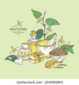 Background with houttuynia: houttuynia flowers and leaves. Houttuynia cordata, Oil, soap and bath salt . Cosmetics and medical plant. Vector hand drawn illustration