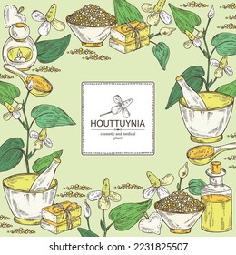 Background with houttuynia: houttuynia flowers and leaves. Houttuynia cordata, Oil, soap and bath salt . Cosmetics and medical plant. Vector hand drawn illustration