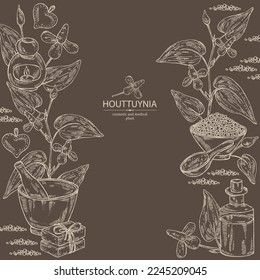 Background with houttuynia: houttuynia flowers and leaves. Houttuynia cordata, Oil, soap and bath salt . Cosmetics and medical plant. Vector hand drawn illustration