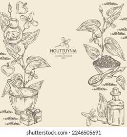 Background with houttuynia: houttuynia flowers and leaves. Houttuynia cordata, Oil, soap and bath salt . Cosmetics and medical plant. Vector hand drawn illustration