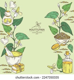 Background with houttuynia: houttuynia flowers and leaves. Houttuynia cordata, Oil, soap and bath salt . Cosmetics and medical plant. Vector hand drawn illustration